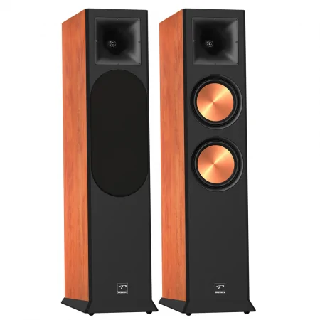 Loa Nghe Nhạc và Karaoke Hi-Fi PARAMAX EURO 8 Limited (Calvados) 5