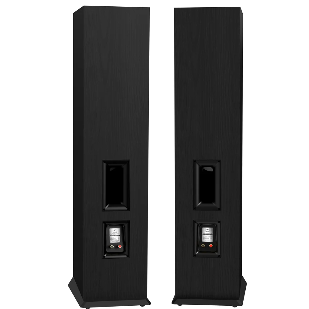 Loa Nghe Nhạc và Karaoke Hi-Fi PARAMAX EURO 8 Limited (Black Ash) 2