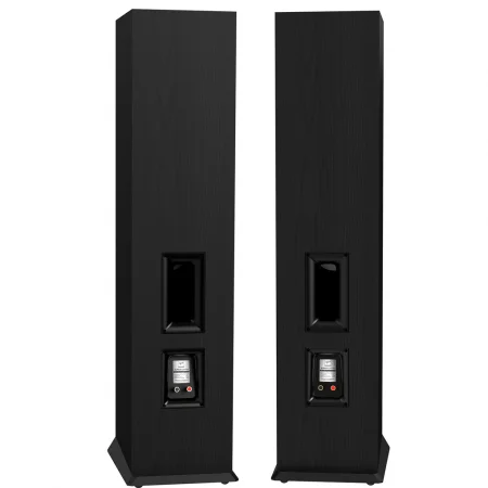 Loa Nghe Nhạc và Karaoke Hi-Fi PARAMAX EURO 8 Limited (Black Ash) 2