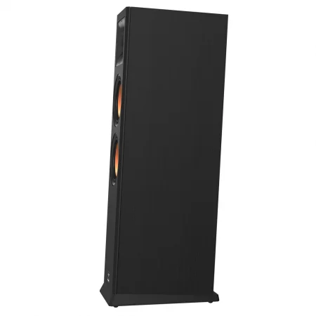 Loa Nghe Nhạc và Karaoke Hi-Fi PARAMAX EURO 8 Limited (Black Ash) 3
