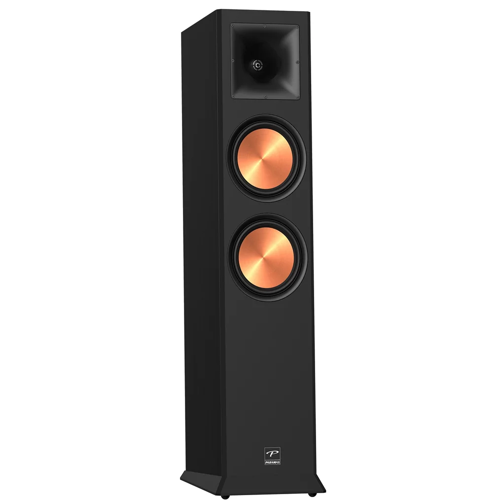 Loa Nghe Nhạc và Karaoke Hi-Fi PARAMAX EURO 8 Limited (Black Ash) 4