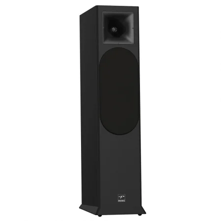Loa Nghe Nhạc và Karaoke Hi-Fi PARAMAX EURO 8 Limited (Black Ash) 5