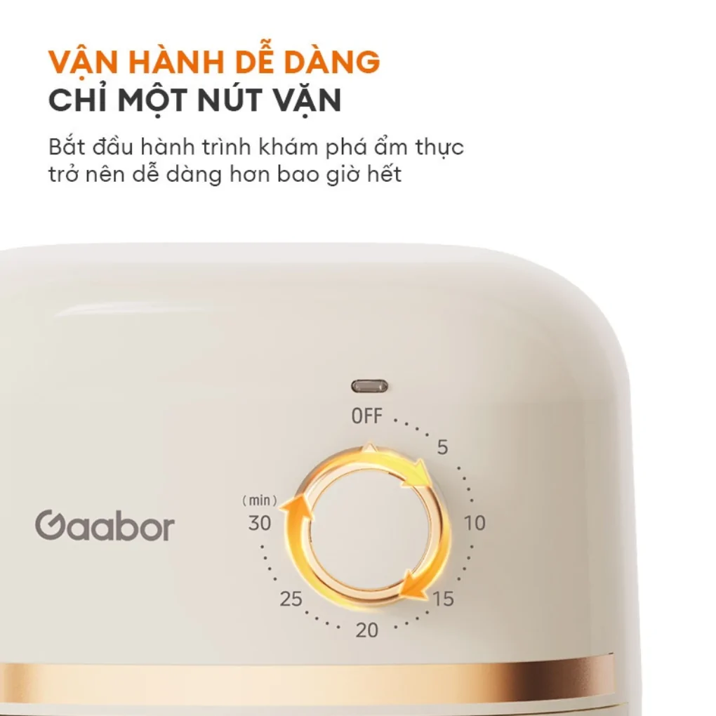 Nồi Chiên Không Dầu Gaabor AF20M-YE01A 2