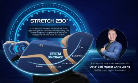 Ghế Massage Gintell S3 GT9933 2