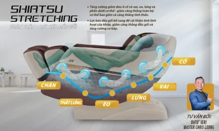 Ghế Massage Gintell S5 GT9955 3