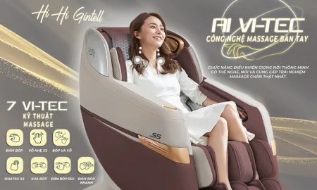Ghế Massage Gintell S5 GT9955 2