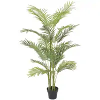 Chậu Cây Cau Vàng JWS2712 1.5M