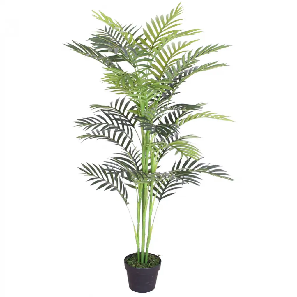 Chậu Cây Cau Vàng JWS2605 1.2M