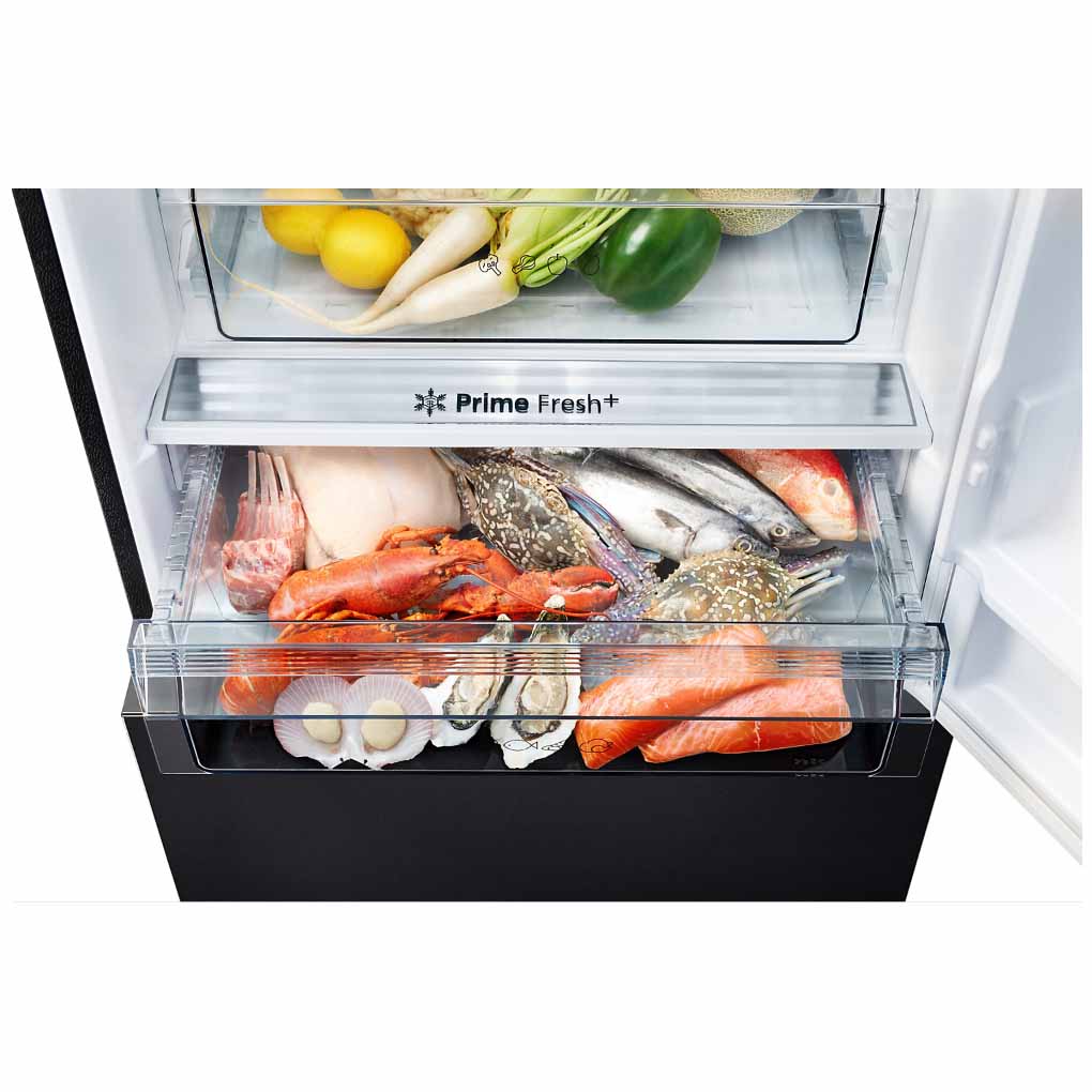 Tủ Lạnh Panasonic Inverter 380 Lít NR-BX421XGKV 1