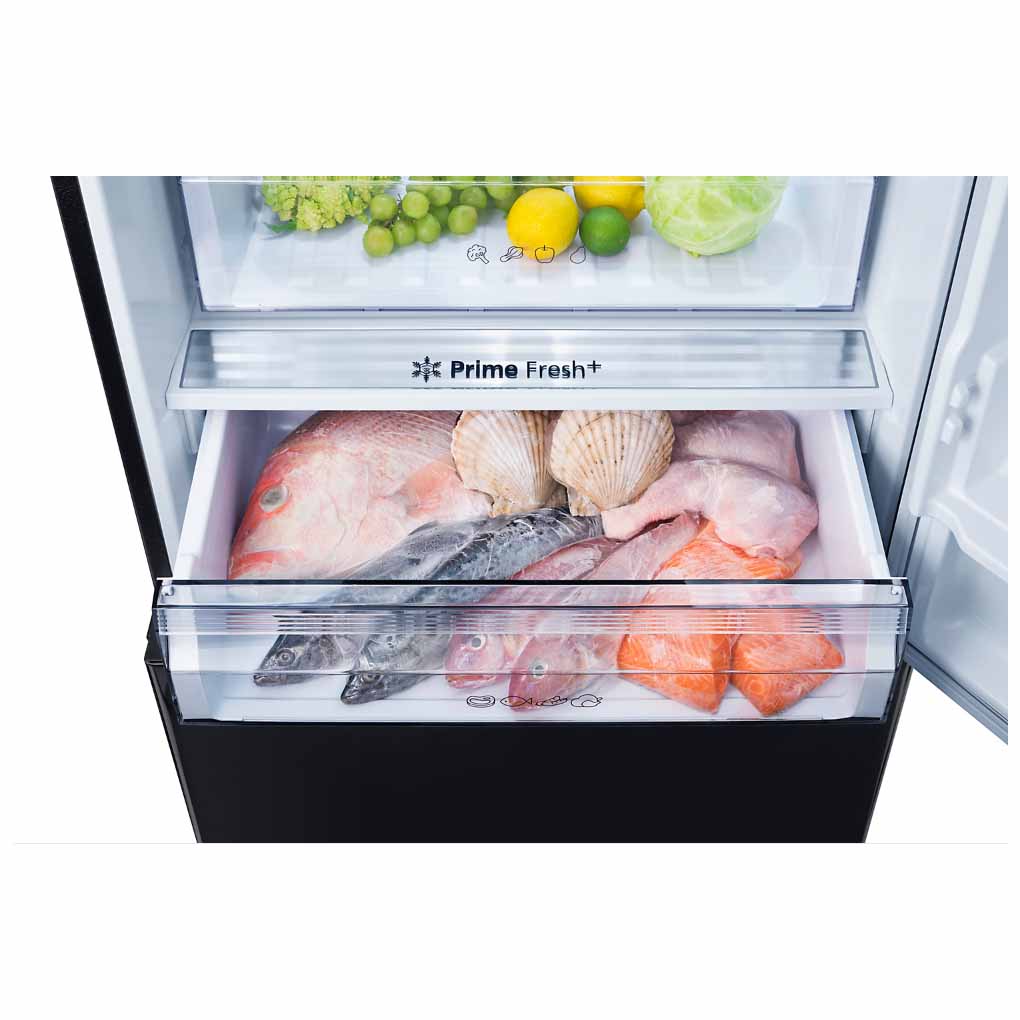 Tủ Lạnh Panasonic Inverter 380 Lít NR-BX421XGKV 2