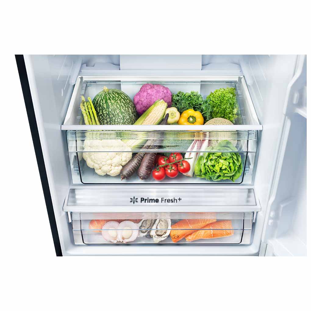 Tủ Lạnh Panasonic Inverter 380 Lít NR-BX421XGKV 3