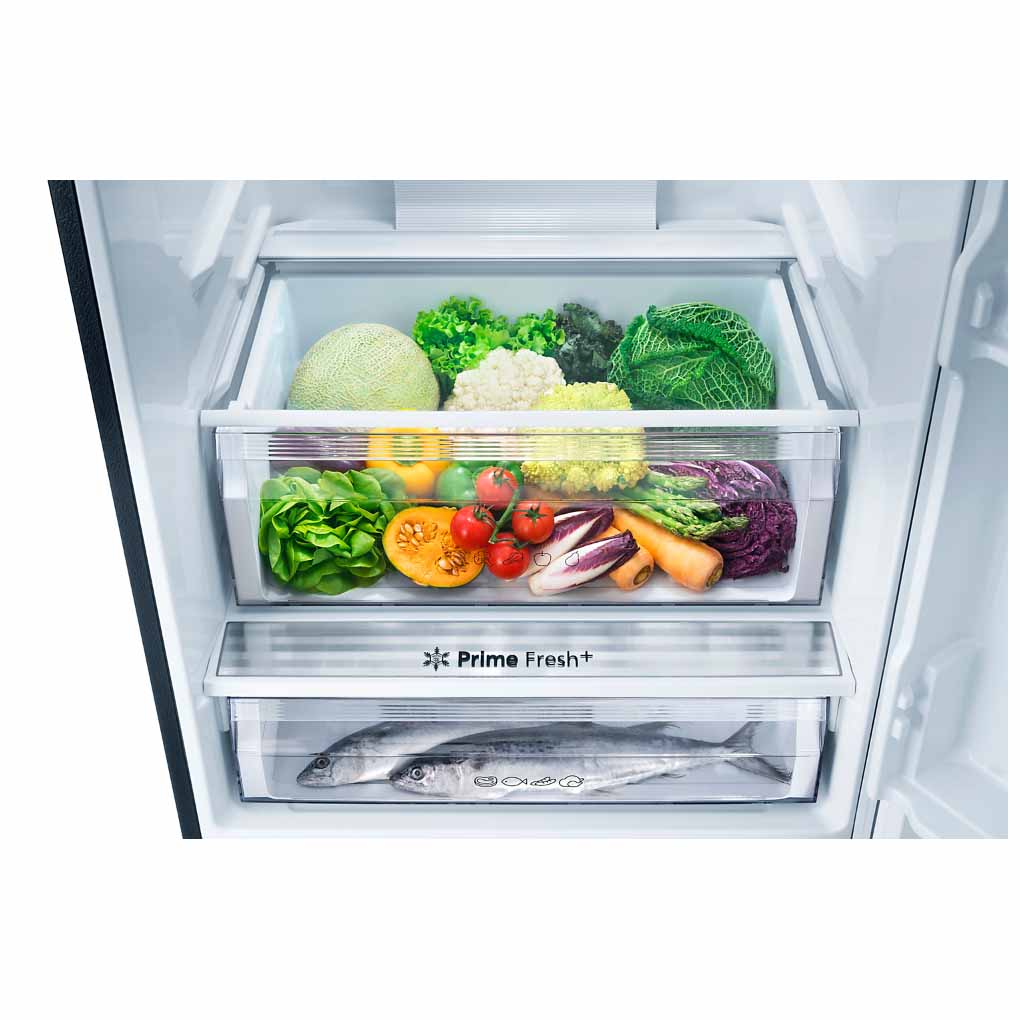 Tủ Lạnh Panasonic Inverter 380 Lít NR-BX421XGKV 4