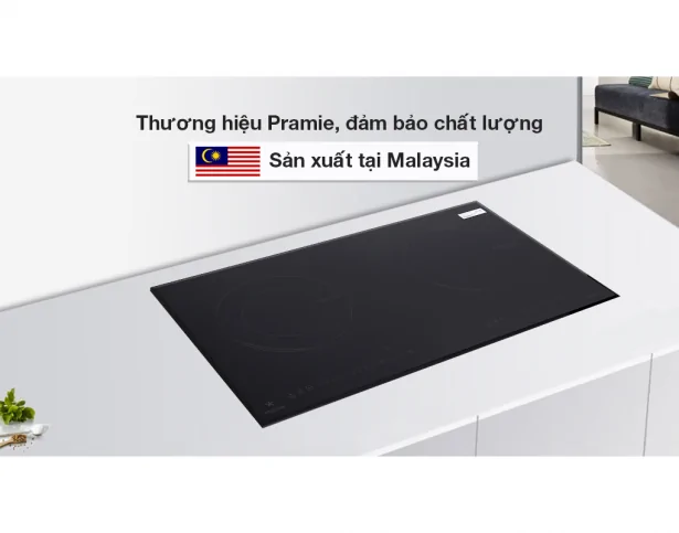 Pramie 2105