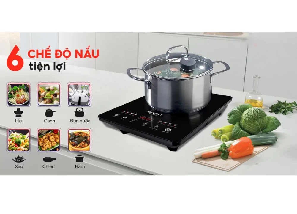Bếp Từ Đơn Sanaky VH-3100HY 4