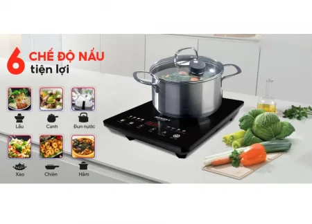 Bếp Từ Đơn Sanaky VH-3100HY 4