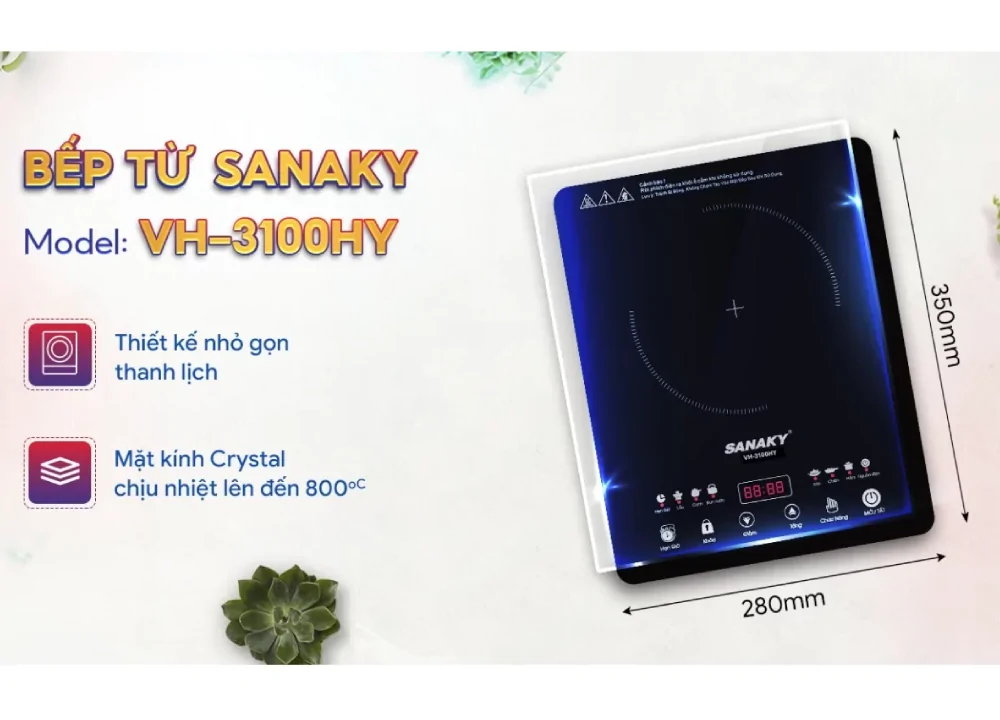 Bếp Từ Đơn Sanaky VH-3100HY 6