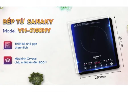 Bếp Từ Đơn Sanaky VH-3100HY 6