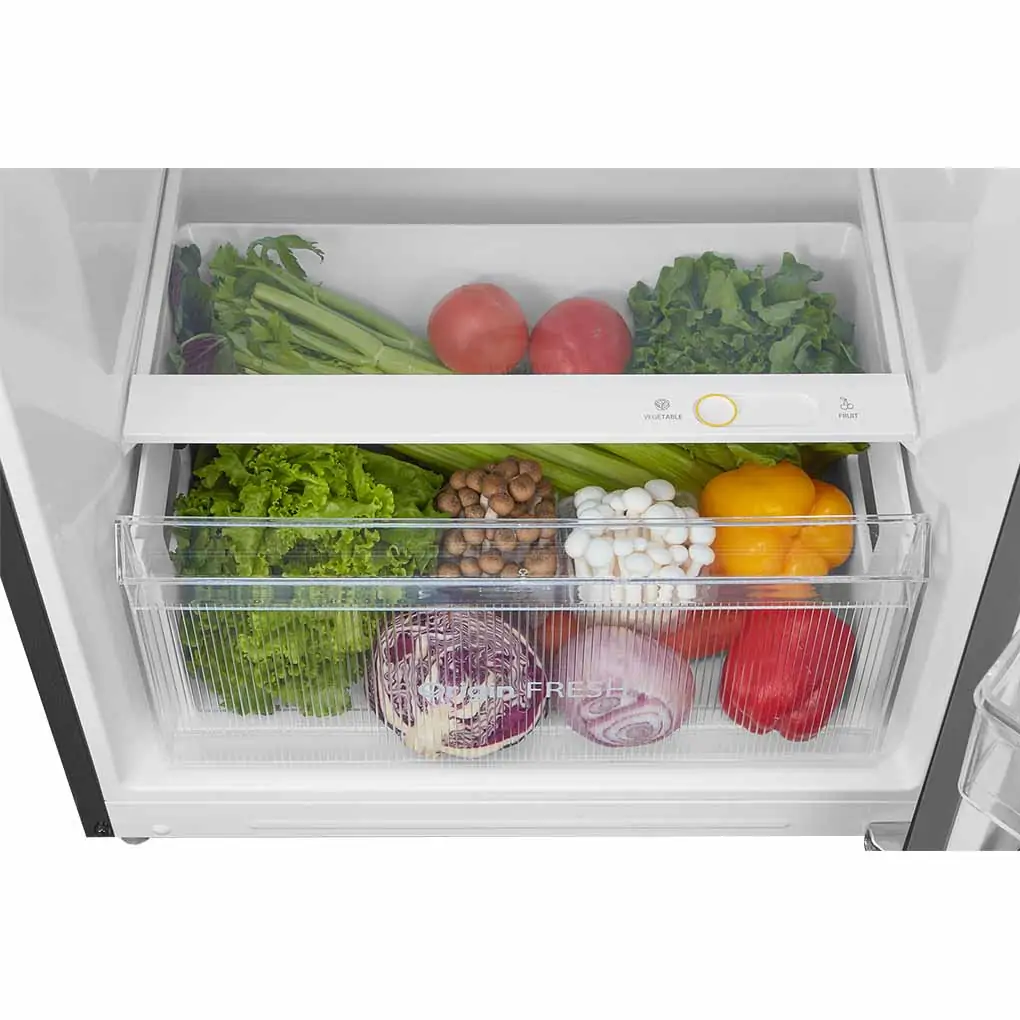 Tủ Lạnh Toshiba Inverter 338 Lít GR-RT468WE-PMV(58)-MM 5