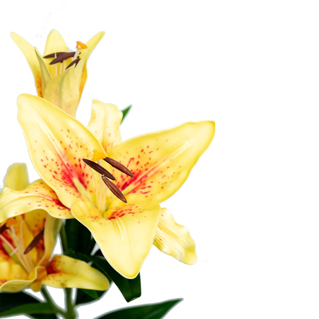 Nhánh Hoa Ly ECOFF5 Vàng 0