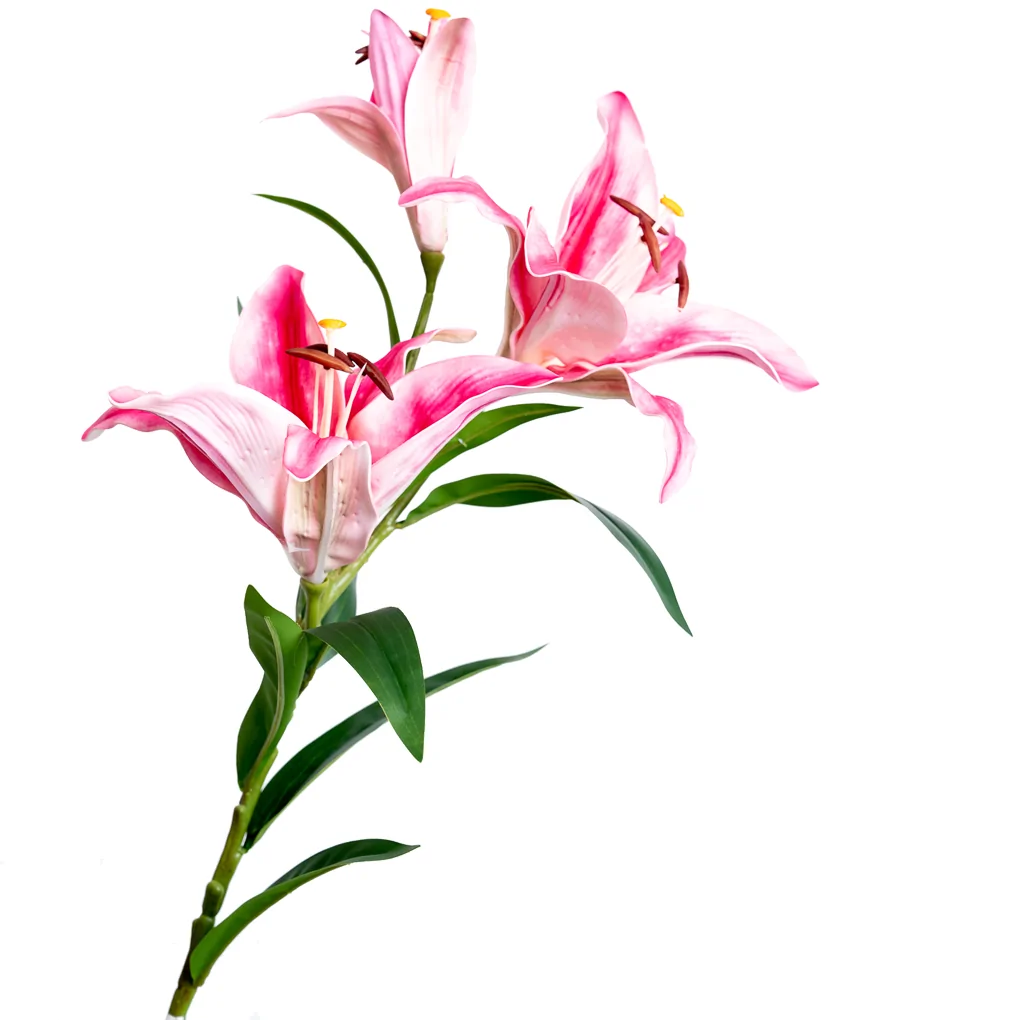 Nhánh Hoa Ly ECOFF5 Hồng