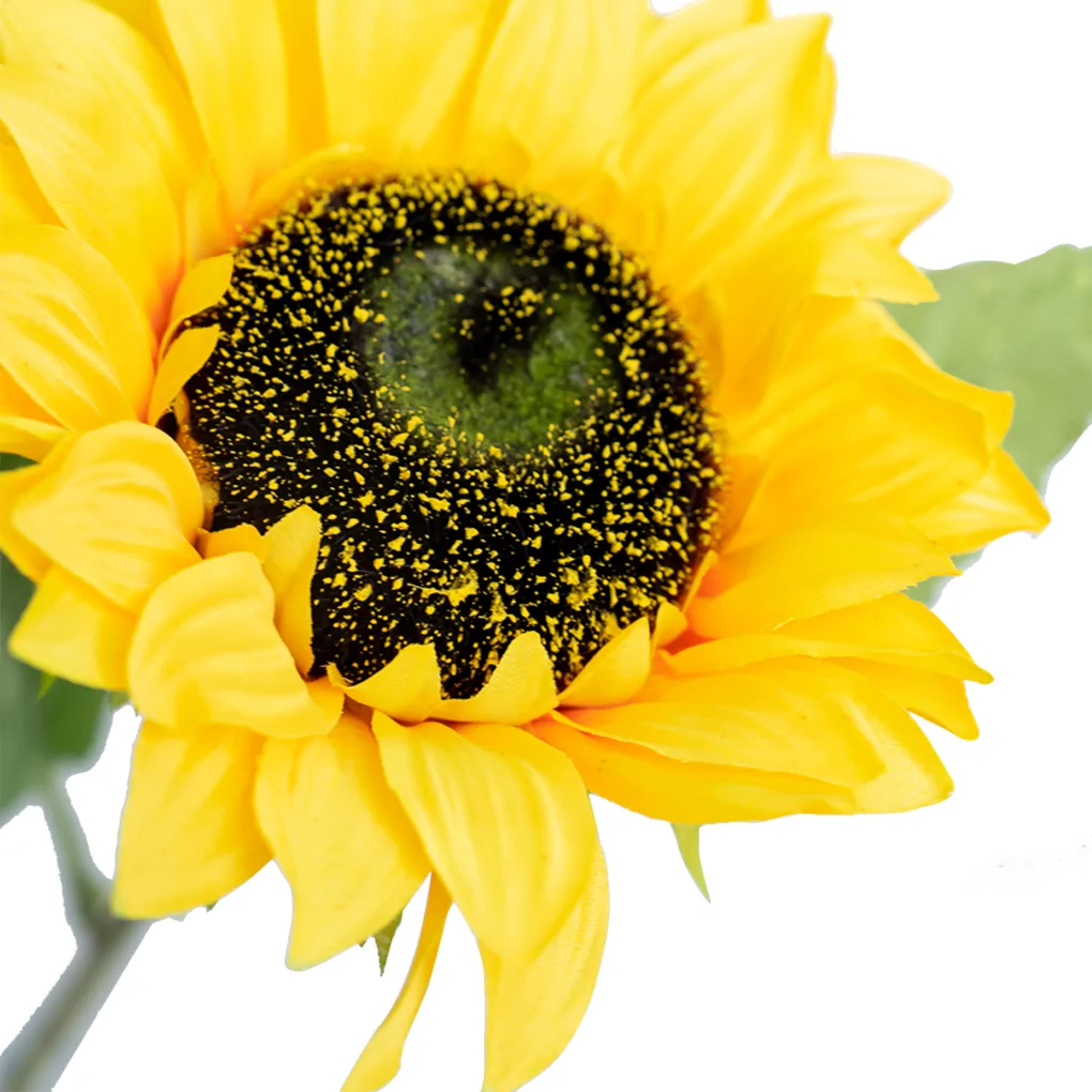 Nhánh Hoa Hướng Dương ECOFF1 0