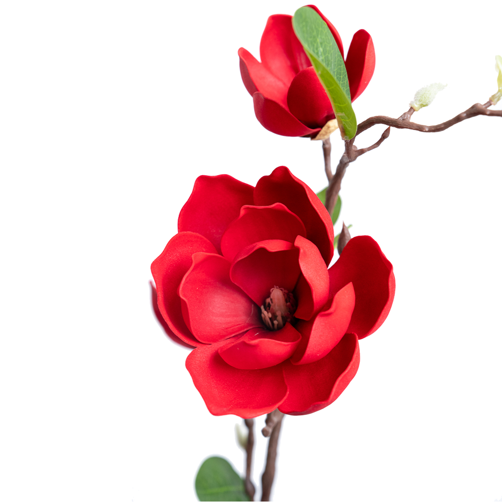 Nhánh Hoa Mộc lan ECOFF4 Đỏ 0