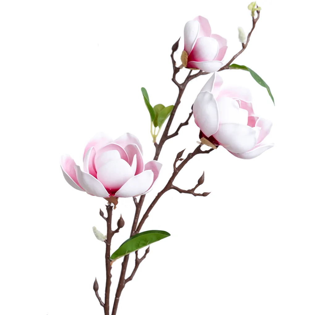 Nhánh Hoa Mộc lan ECOFF4 Trắng/Hồng