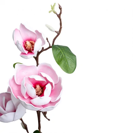 Nhánh Hoa Mộc lan ECOFF4 Trắng/Hồng 0