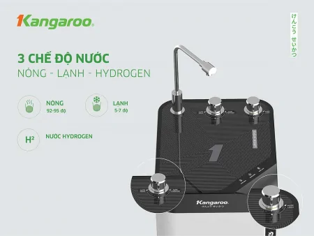 Máy Lọc Nước RO Nóng Nguội Lạnh Kangaroo KG10A10S 6