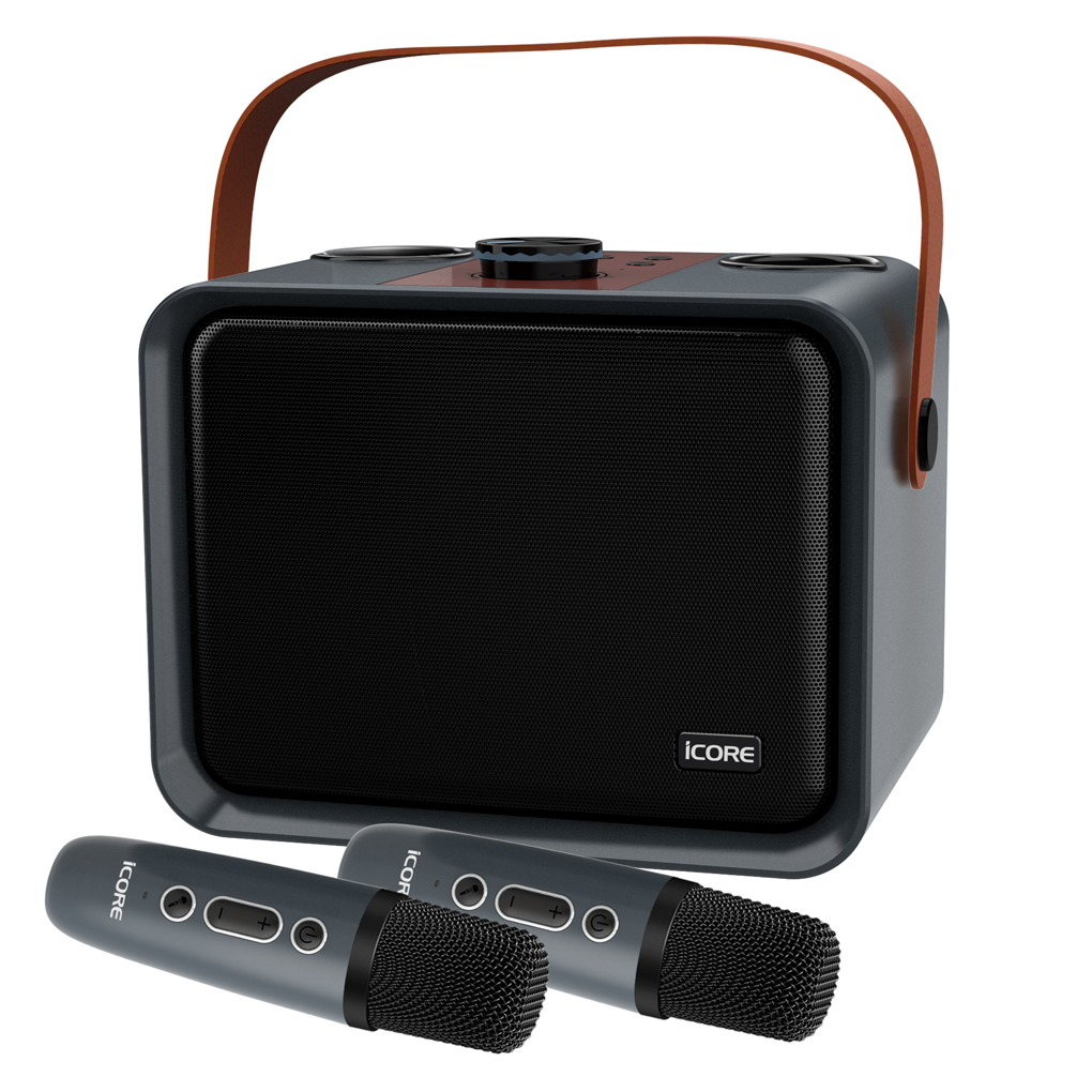 Bộ Loa Karaoke ISM09 kèm 2 Micro