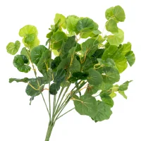 Bụi Cây Thu Hải Đường 45CM-A255BX