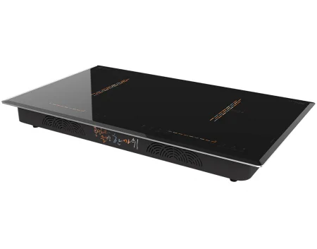 Bếp Đôi Hawonkoo CEH-204-IF - Thái Lan 0