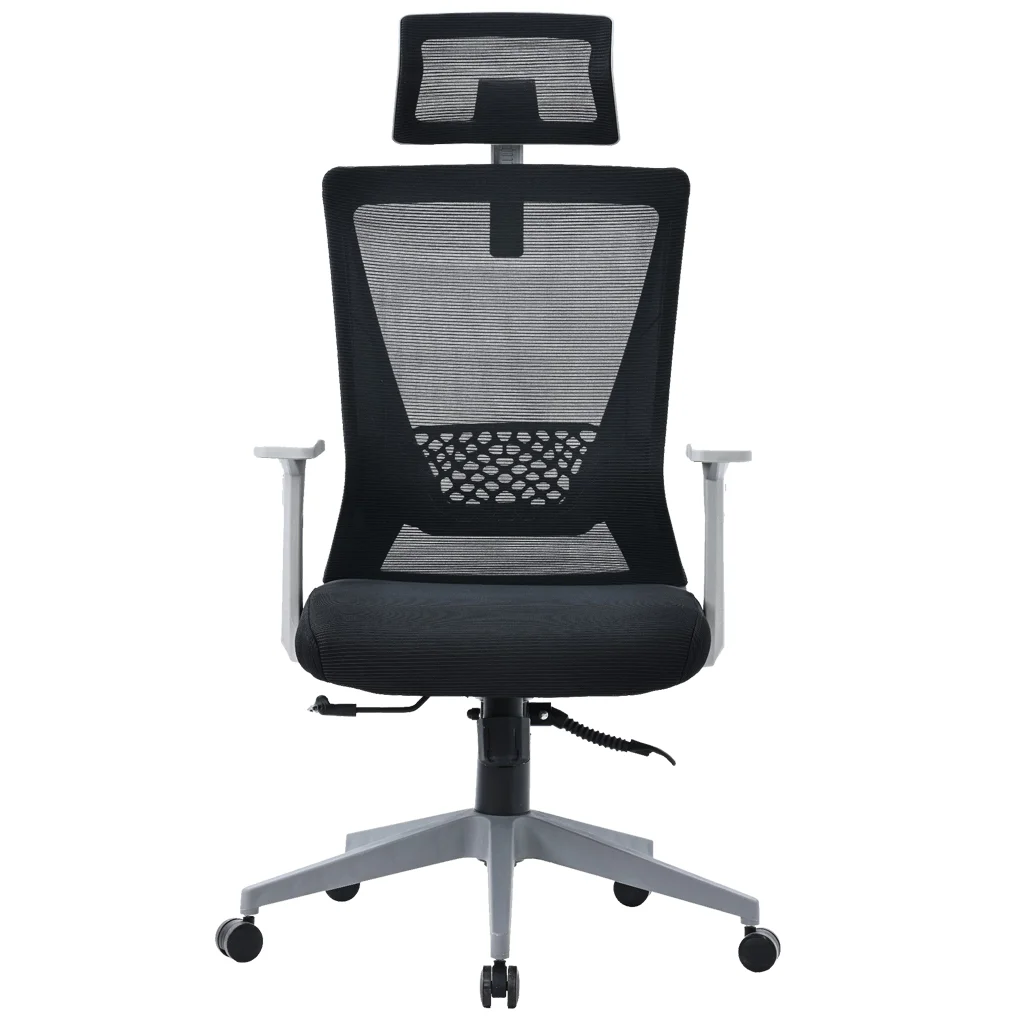 Ghế Văn Phòng Công Thái Học ECOOC-2108 Đen