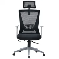 Ghế Văn Phòng Công Thái Học ECOOC-2108 Đen