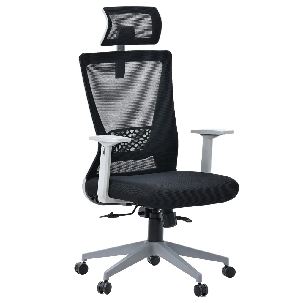 Ghế Văn Phòng Công Thái Học ECOOC-2108 Đen 0