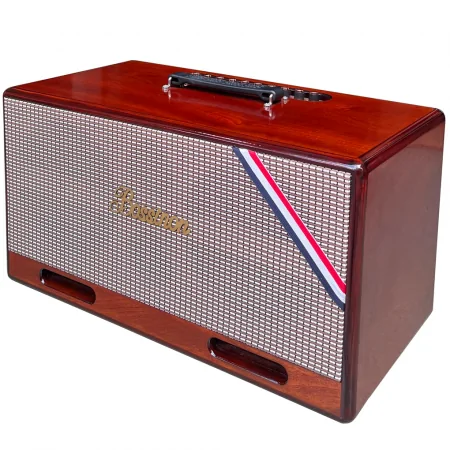 Loa Xách Tay Bossinon N2261K 1