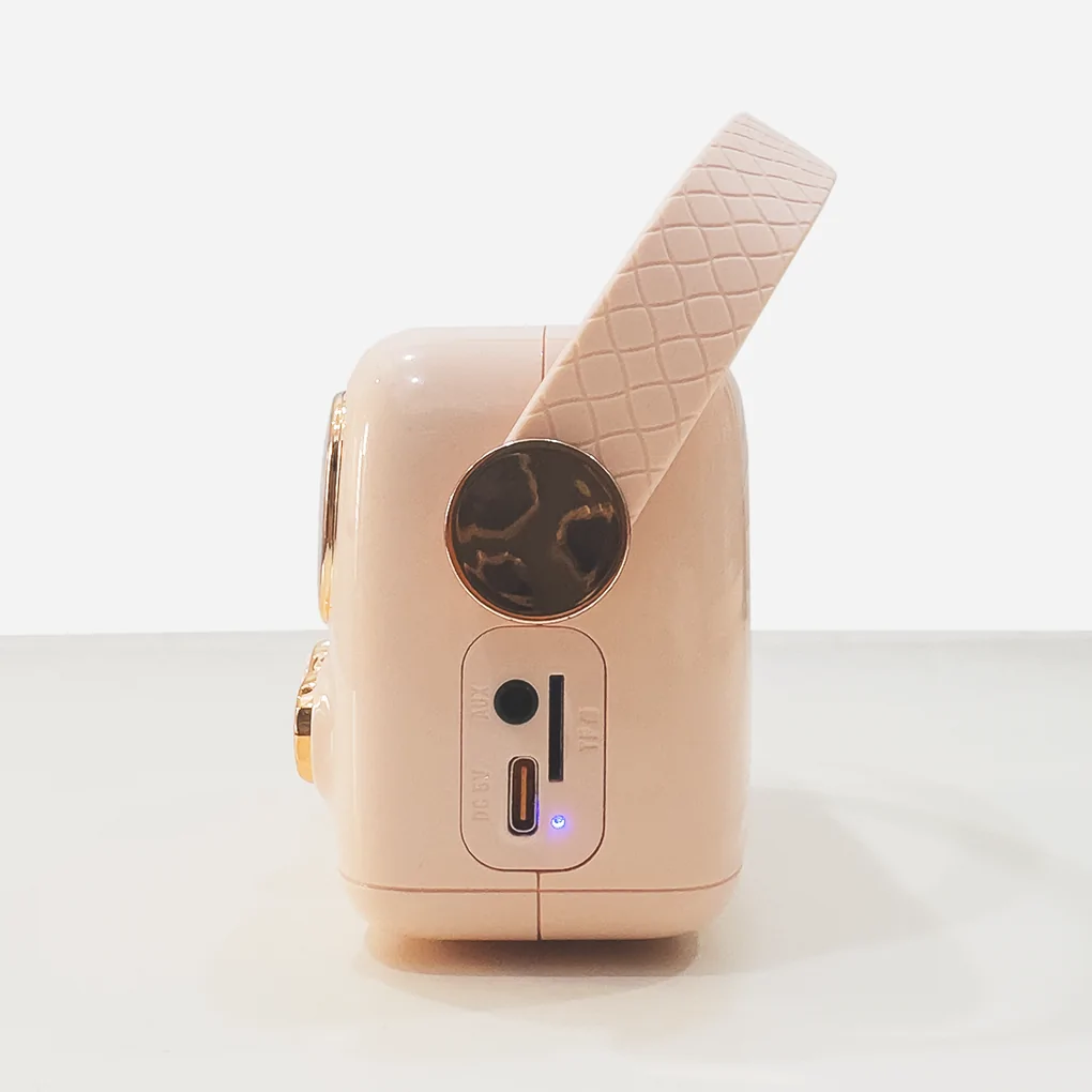 Bộ Loa Karaoke Mini Cổ Điển Bluetooth iCore VSM99 (Kèm 02 Micro) 3