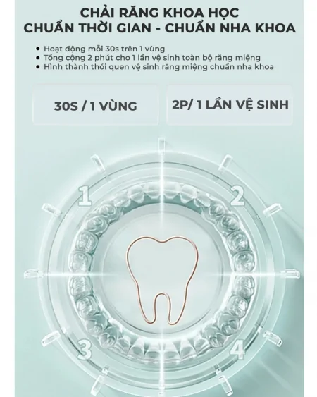 Bàn Chải Điện Magic B-20 Màu Đen 6