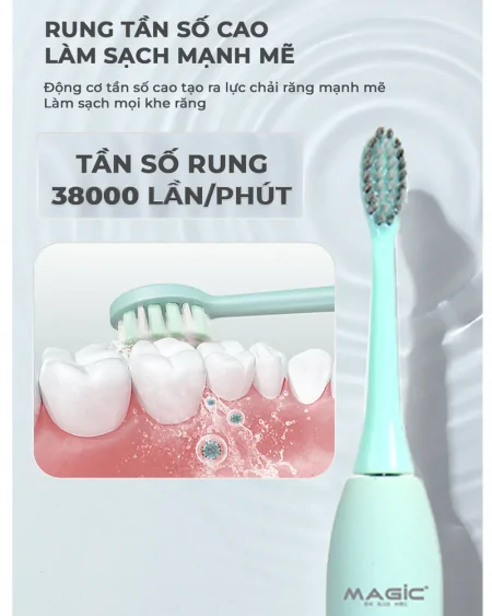 Bàn Chải Điện Magic B-20 Màu Đen 7