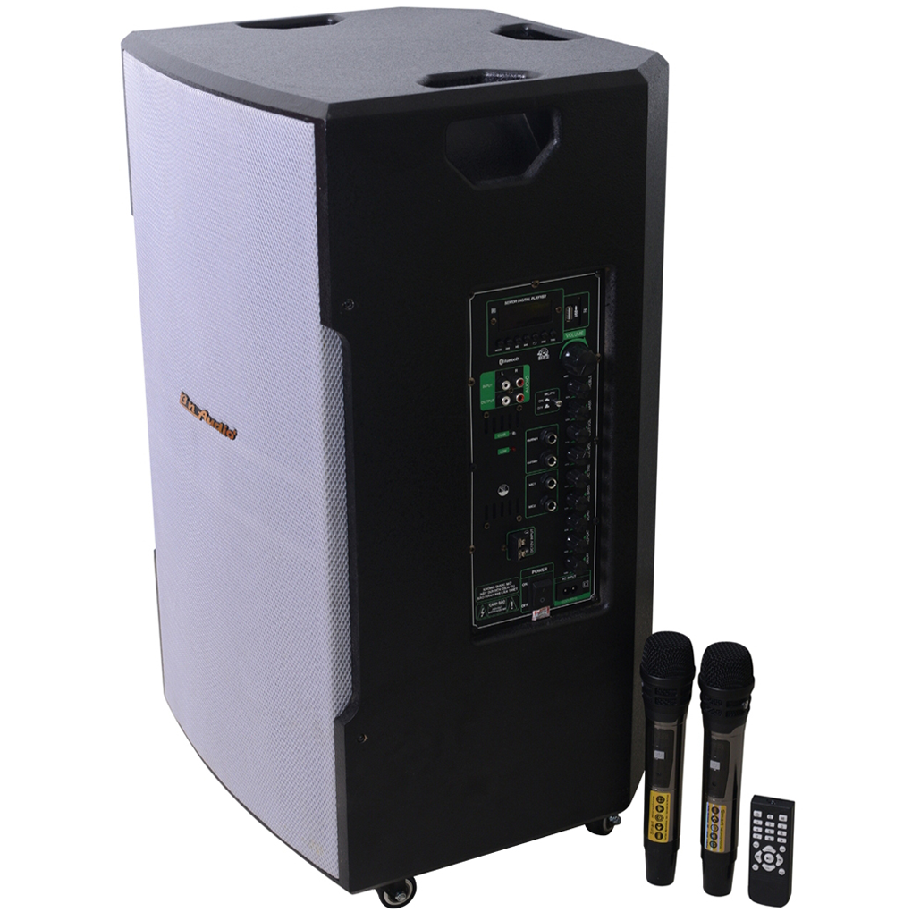 Loa Kéo BN Audio BA 850 V 0