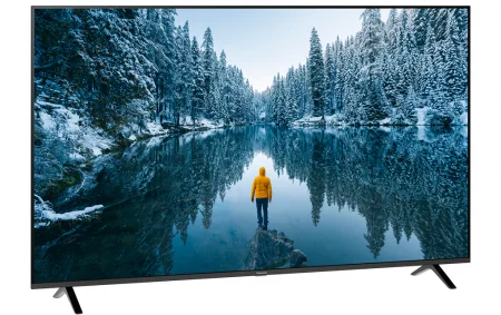 Google Tivi Panasonic 4K 65 Inch TH-65MX650V 0