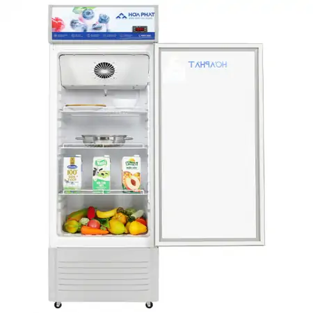 Tủ Mát Hòa Phát 195 Lít HSR D6195 3