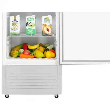 Tủ Mát Hòa Phát 195 Lít HSR D6195 5