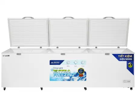 Tủ Đông Hòa Phát 1190 Lít HPF AD61190 2