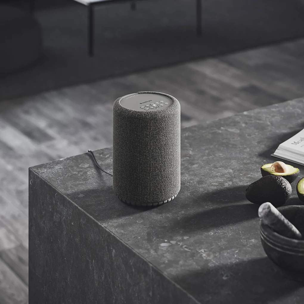 Loa Audio Pro A10 MKII 0