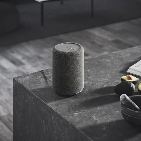 Loa Audio Pro A10 MKII 0