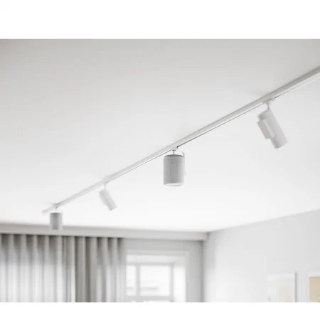 Loa Audio Pro A10 MKII 1