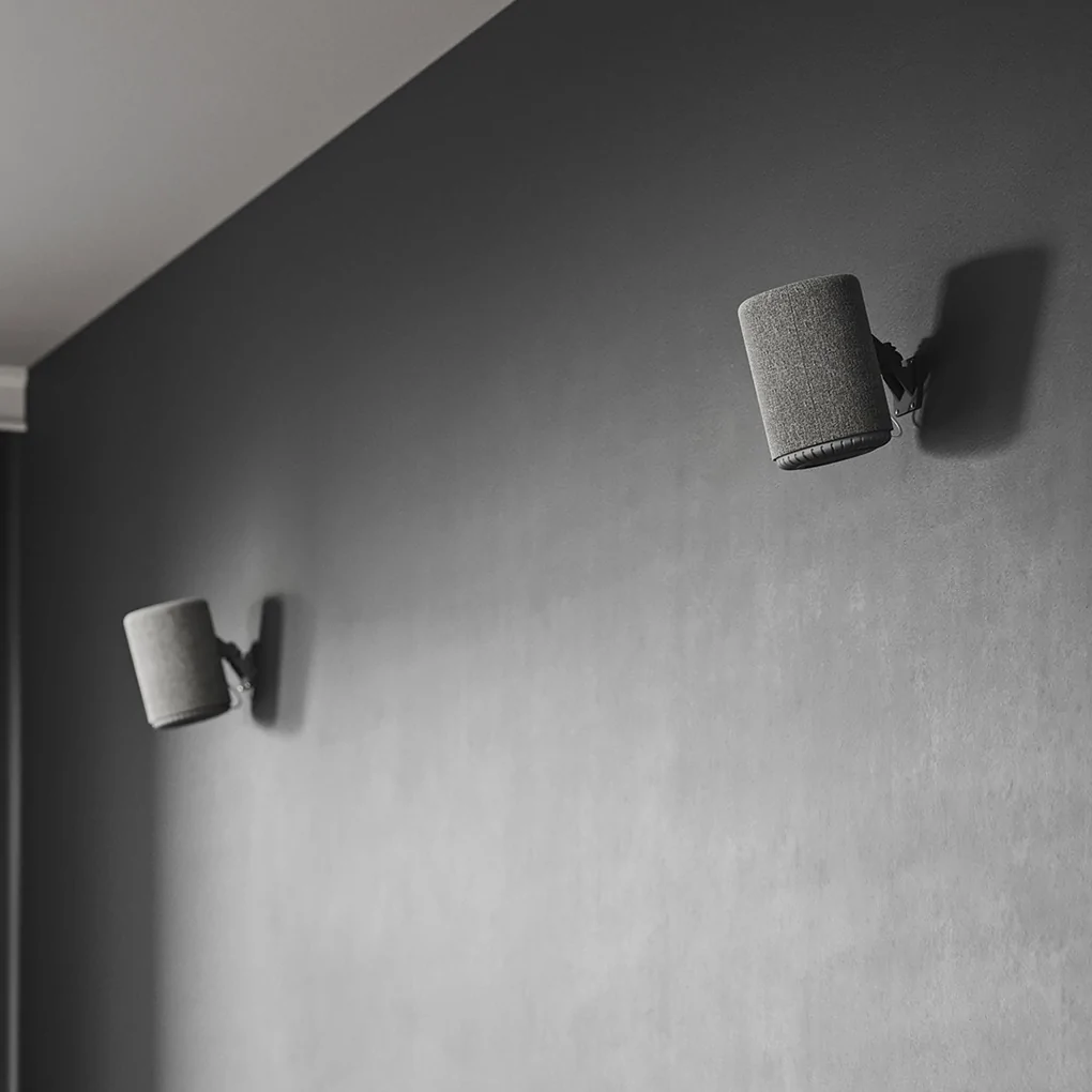 Loa Audio Pro A10 MKII 3