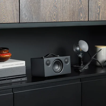 Loa Bluetooth Audio Pro C5 MKII (BLACK) 0