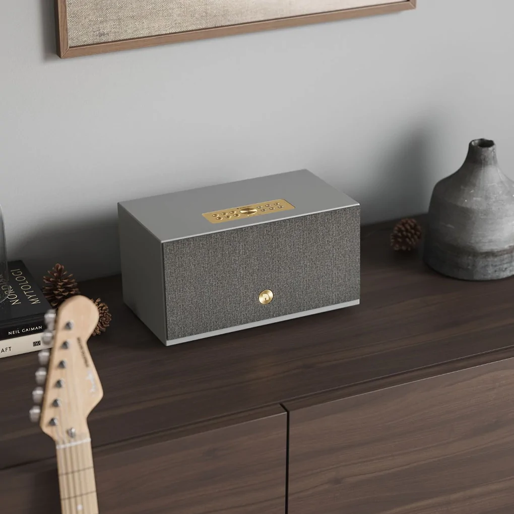 Loa Bluetooth Audio Pro C10 MKII 0